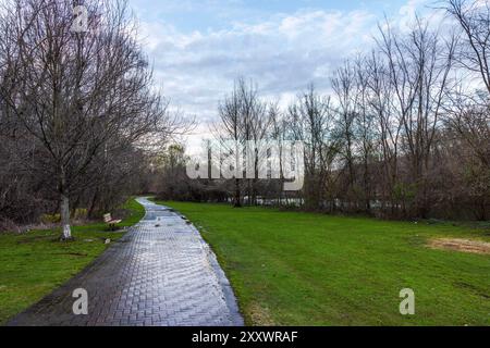 Wunderschöner Blick auf den Frühlingspark mit regennassem, gepflastertem Gang, gesäumt von Bänken, grünen Rasenflächen auf beiden Seiten, See sichtbar durch baumlose Bäume. Stockfoto