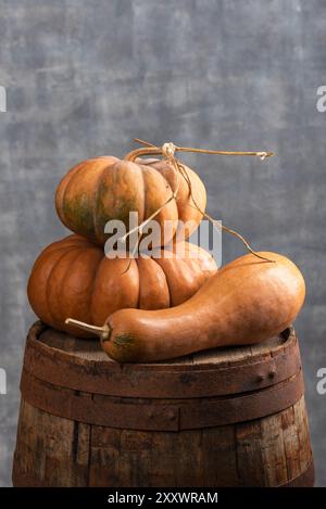 Muscade de Provence Kürbisse und Butternut Kürbisse leben auf einem alten Fass Stockfoto