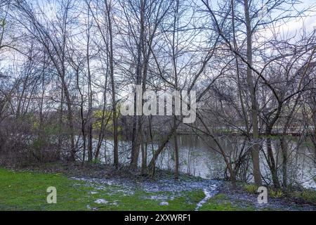 Frühlingsabendpark nach Regen mit nassem Gras, Pfützen, Blick auf den See durch baumlose Bäume und gelbblättrige Bäume am gegenüberliegenden Ufer. Stockfoto