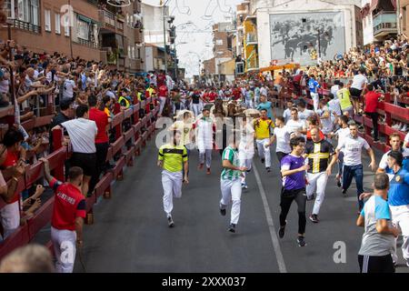 Madrid, Spanien. August 2024. Wie jedes Jahr hat die Madrider Stadt San Sebastián de los Reyes heute Morgen die Feierlichkeiten zum schutzheiligen und als Teil davon die Stierkämpfe und Stierkämpfe begonnen. D. Canales Carvajal/Alamy Live News - Bild Stockfoto