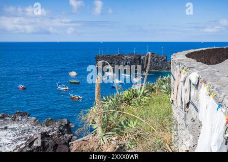 Wäsche- und Schwanenhals-Agave-Pflanzen, abgebildet über den Fischerbooten in der hübschen Bucht von Camara de Lobos, an der Südküste von Madeira, gesehen am 8. August Stockfoto