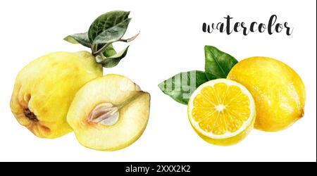 Eine atemberaubende und wunderschöne Aquarellillustration mit Quince und Lemon Stockfoto