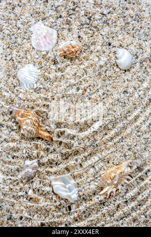 Seesand mit Meerwasser und Muscheln. Draufsicht mit Kopierbereich. Stockfoto