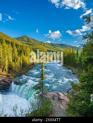 Ein einsamer Baum am Rande der Sheep River Falls in den Rocky Mountains im Südwesten Albertas Stockfoto