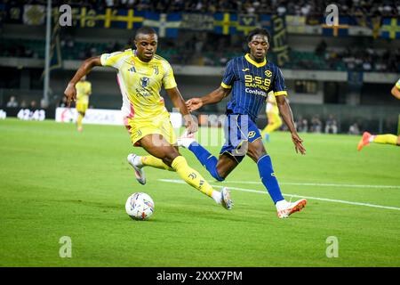 Pierre Kalulu, Juventus, spielt beim Spiel Hellas Verona FC gegen Juventus FC, italienischer Fußball Serie A in Verona, Italien, 26. August 2024 Stockfoto