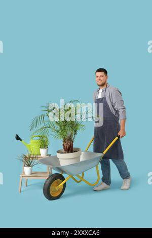 Gärtner mit Zimmerpflanze in Schubkarre auf blauem Hintergrund Stockfoto