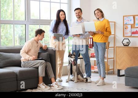 Kollegen mit Laptops und lustigem Husky-Hund im Büro Stockfoto