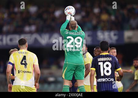 Verona, Italien. August 2024. Michele Di Gregorio (Juventus) während des Spiels der italienischen Serie A zwischen Hellas Verona 0-3 Juventus im Stadion Marcantonio Bentegodi, 2024 in Verona. Kredit: Maurizio Borsari/AFLO/Alamy Live News Kredit: Aflo Co. Ltd./Alamy Live News Stockfoto