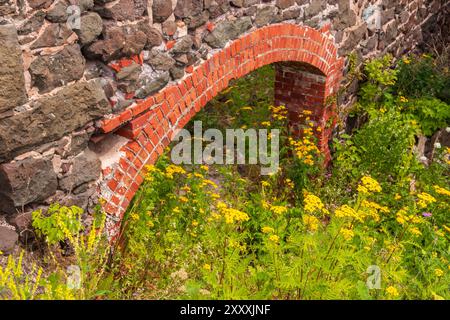 Ruinen eines alten Minengebäudes zwischen gelben Blumen. Stockfoto