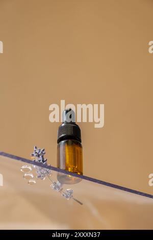 Tiefwinkelansicht des ätherischen Lavendelöls. Aromatherapie-Szene natürlicher Duft Parfümerie-Öl. Pflanzliche Inhaltsstoffe aus Wildpflanzen. Isometrischer Kopierraum Stockfoto