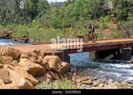 Radfahren über Pont Germain im Blue River Provincial Park Stockfoto