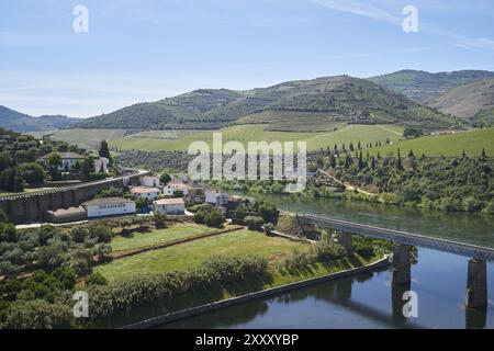 Foz Tua Damm barragem Landschaft Natur in Portugal Stockfoto