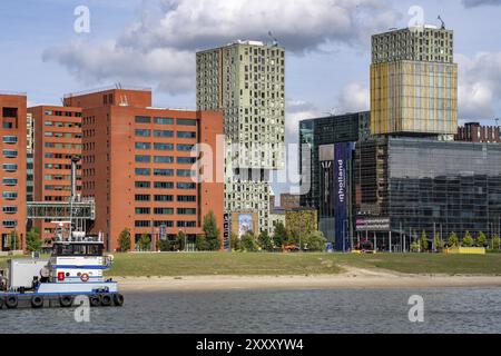 Der Rijnhaven, ein 28 Hektar großes Hafenbecken, wurde nun um fast ein Drittel gefüllt, um Platz für bis zu 000 Wohnungen zu schaffen, es wird eine künstliche Anlage geben Stockfoto