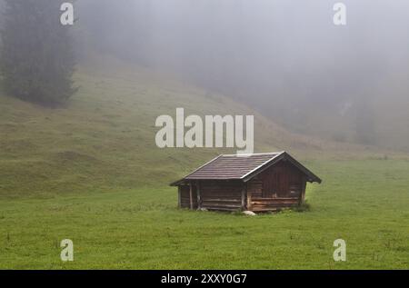 Alte Holzhütte auf Almwiesen mit Nebel bedeckt Stockfoto