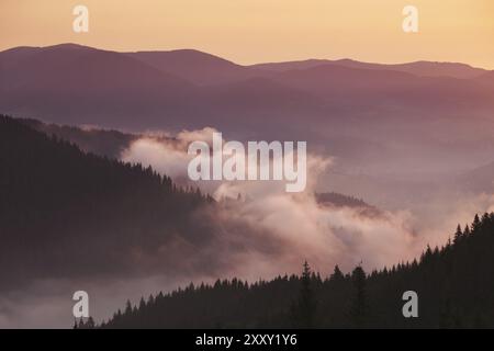 Appalachen Berge neblig Morgen, Tennessee, USA, Nordamerika Stockfoto