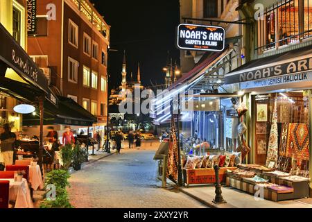 ISTANBUL, TÜRKEI, 24. April 2017: Restaurants sind eine großartige touristische Attraktion und ein wichtiger Teil des Nachtlebens in der Nachbarschaft von Sultan Ahmed Mo Stockfoto