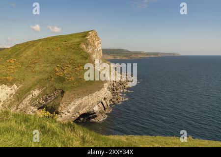 Klippen an der Jurassic Coast, South West Coast Path zwischen Worbarrow Bucht und Brandy Bay, Dorset, Großbritannien gesehen Stockfoto