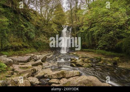 Ein Wasserfall im Blaen-y-Glyn in der Nähe von Torpantau, Powys, Wales, Großbritannien Stockfoto