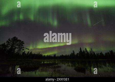 Nordlichter (Aurora borealis), Muddus-Nationalpark, Lapnia-Weltkulturerbe, Norrbotten, Lappland, Schweden, Oktober 2015, Europa Stockfoto