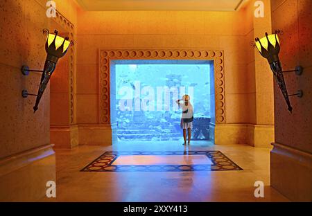 Sillouette der Frau unter Bild im großen Aquarium in Dubai Stockfoto