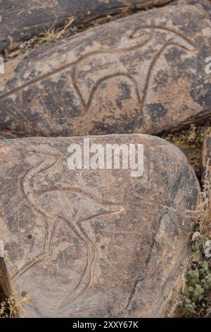 Petroglyphen eines Straußes, Ait Ouazik Felsenlandschaft, spätneolithisches, Marokko, Afrika Stockfoto