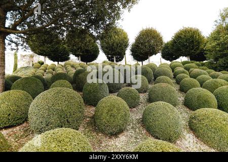 Landschaftsgarten mit Buchsbaumkugeln in der Nähe von Frankreich. Grüne Kugeln. Stockfoto