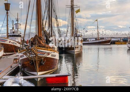 HUSAVIK, ISLAND, 29. JUNI: Am 29. Juni 2013 in Husavik verankerte Walbeobachtungsschoner bei Sonnenaufgang im Hafen von Husavik und in den Bergen im Hintergrund, Stockfoto