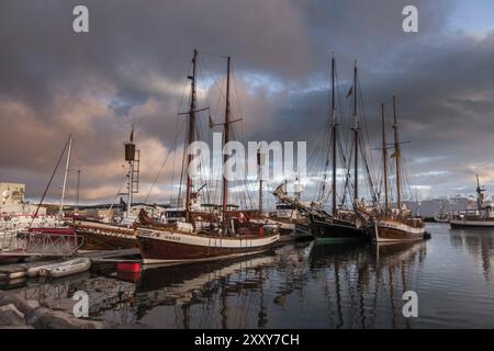 HUSAVIK, ISLAND, 29. JUNI: Am 29. Juni 2013 in Husavik verankerte Walbeobachtungsschoner bei Sonnenaufgang im Hafen von Husavik und in den Bergen im Hintergrund, Stockfoto