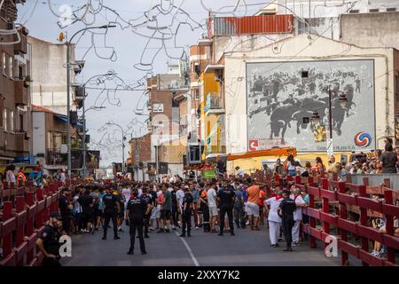 Madrid, Spanien. August 2024. Panoramablick auf die Calle Real in San Sebasti·n de los Reyes vor Beginn des ersten Stierlaufs heute Morgen anlässlich der beliebten Feierlichkeiten der Stadt Madrid. Wie jedes Jahr hat die Madrider Stadt San Sebastian de los Reyes heute Morgen die Feierlichkeiten zum schutzheiligen und als Teil davon die Stierkämpfe und Stierkämpfe begonnen. Quelle: SOPA Images Limited/Alamy Live News Stockfoto