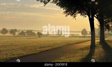 Feldweg im Morgennebel, Morgennebel in einem kreisrunden Gebiet, kleine Straße Stockfoto