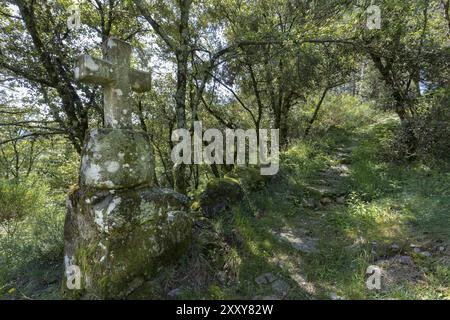 Altes Steinkreuz am Wegesrand in Südfrankreich Stockfoto