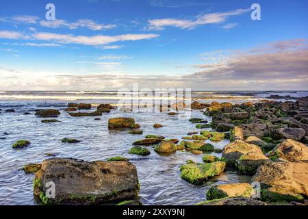 Bemoosten Steinen und Wellen zwischen den Gewässern des Cal Beach in Torres-Stadt, Rio Grande do Sul Stockfoto