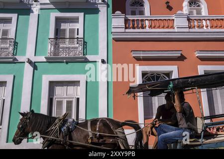 Cienfuegos, Kuba am 28. Dezember 2016: Ein braunes Pferd zieht eine blaue Kutsche vor einer bunten Kolonialfassade. Kutschen sind immer noch eine gemeinsame F Stockfoto