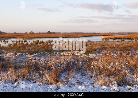 Gefrorener Sumpf bei Sonnenaufgang im Winter, Drenthe Stockfoto