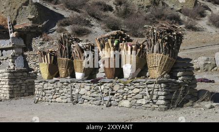 Geflochtene Koffer voll mit Brennholz, die von einheimischen Frauen abgelegt wurden, während sie sich ausruhen. Szene in der Nähe von Manang, Nepal, Asien Stockfoto