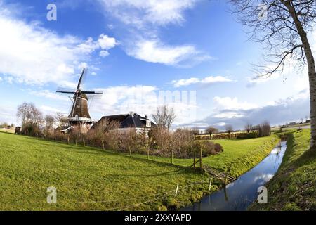 Charmante niederländische Windmühle auf grünen Wiesen über blauem Himmel Stockfoto