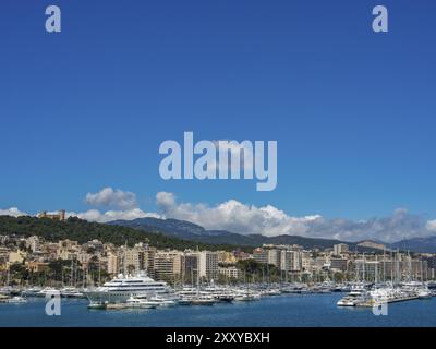 Blick auf einen Hafen mit vielen Yachten und Booten vor der Stadt und die Berge im Hintergrund unter einem klaren blauen Himmel, palma de Mallorca, Einkaufszentrum Stockfoto