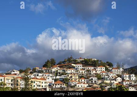 Blick auf die Stadt Funchal auf der Insel Madeira, Portugal, Europa Stockfoto