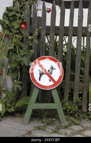 Hunde verboten Stockfoto