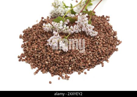 Buchweizenkorn und Blumen auf weißem Hintergrund Stockfoto