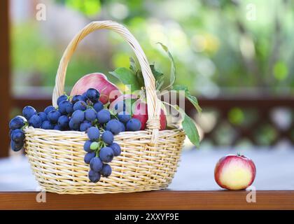 Geschmackvolle Trauben und Äpfel in den Korb in der Gartenlaube. Nahaufnahme Stockfoto