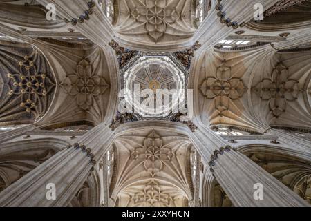 Crucero de la catedral, Catedral de la Asuncion de la Virgen, Salamanca, comunidad autonoma de Castilla y Leon, Spanien, Europa Stockfoto