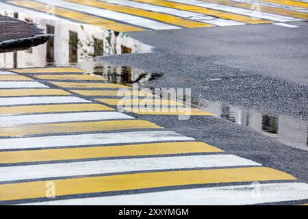 Weißes gelbes Zebrakreuz auf nasser Asphaltstraße. Straße nach Regen. Stockfoto