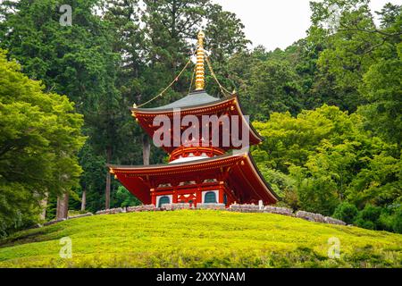 Katsuoji, der Tempel der Daruma-Puppen, in Osaka, Japan Stockfoto