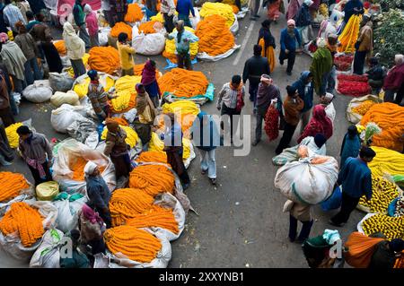 Mallick Ghat ist einer der größten Blumenmärkte in Asien. Szenen am frühen Morgen auf dem Markt in Kalkutta, Westbengalen, Indien. Stockfoto