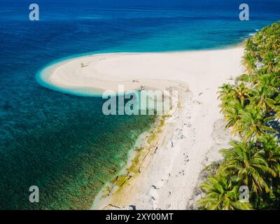 Malediven Insel und tropischer Strand mit Palmen. Tropisches Sommerbanner. Luftaufnahme Stockfoto