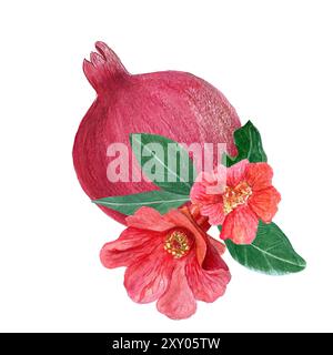 Granatapfelfrucht, Blumen und Blätter Aquarellzusammensetzung isoliert auf weiß. Handgezeichnetes, realistisches, lebendiges Design für Teepakete und Karten Stockfoto