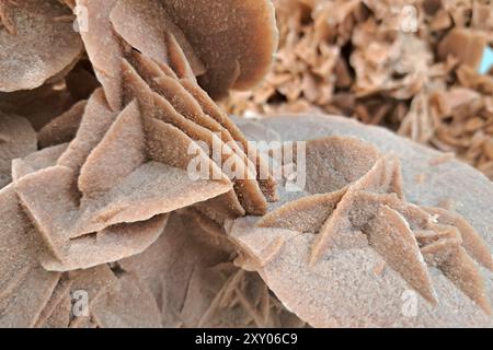 Eine Gruppe von mehrschichtigen, bräunlichen Mineralformationen mit einem rosenartigen Muster und rauen, sandigen Texturen. Stockfoto