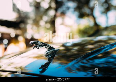 Tiflis, Georgien. Nahaufnahme des Logotyps des Jaguar XJL XJ auf der Motorhaube. Beim Jaguar XJ handelt es sich um eine Serie mittelgroßer Luxuswagen, die von hergestellt werden Stockfoto