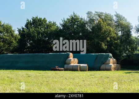 In einer lebendigen ländlichen Landschaft sind große Heurollen ordentlich gestapelt und mit grünen Planen bedeckt, umgeben von üppigem grünem Gras und Bäumen unter einem klaren blauen Himmel. Stockfoto